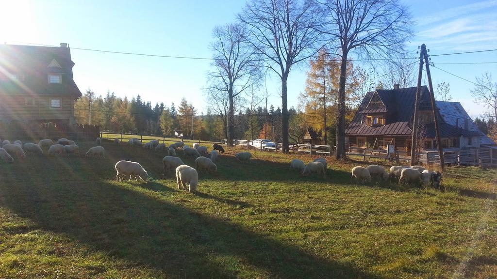 Pompelowka - Chata Na Glubalowce Zakopane Eksteriør billede